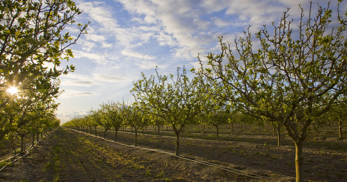 Biden’s new administration bodes well for U.S. agriculture 