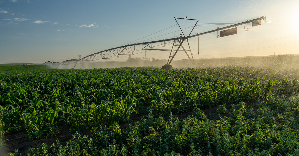 Valoriser les terres agricoles grâce à des améliorations durables