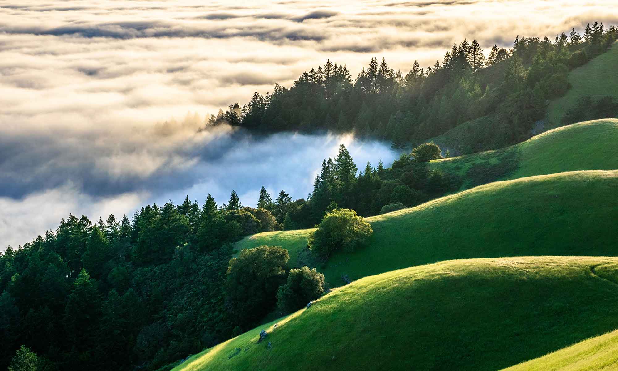Landscape photography of a hazy coastal scene with winding hills, oceanic landforms, mist, fog, and clouds under a pale sky.