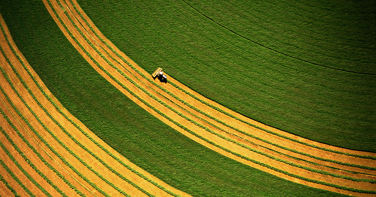Ploughing her own furrow: advancing women in agriculture investing