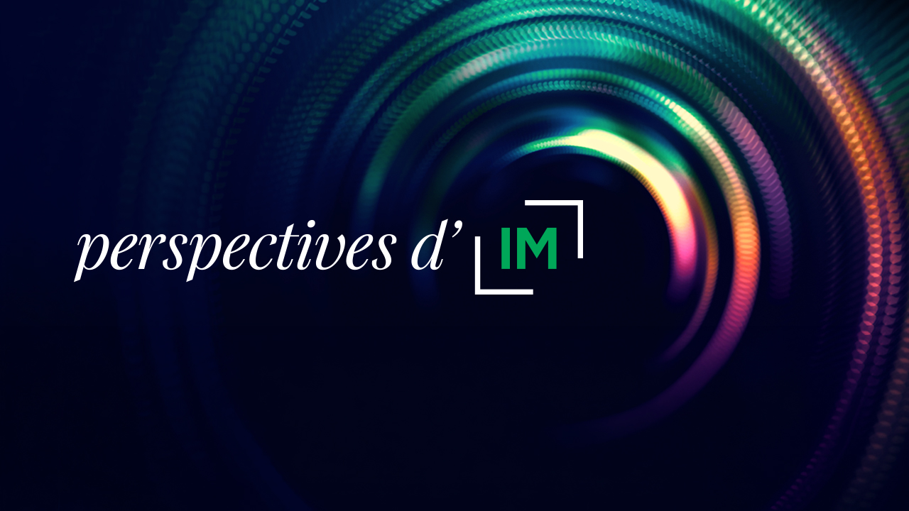 perspectives d' IM