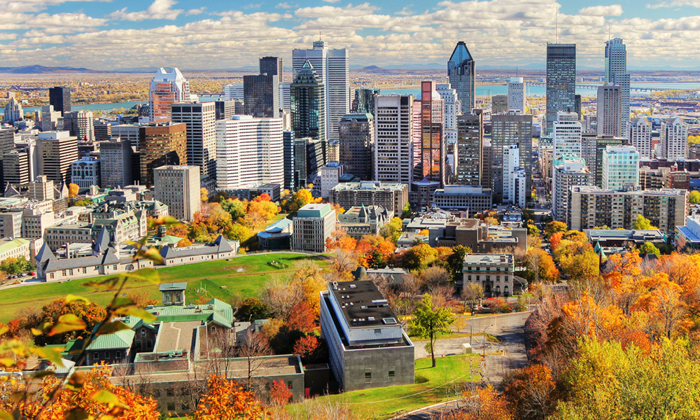 Panoramic cityscape of a metropolis, spanning downtown and uptown boroughs, in cityscape photography of an urban landscape.
