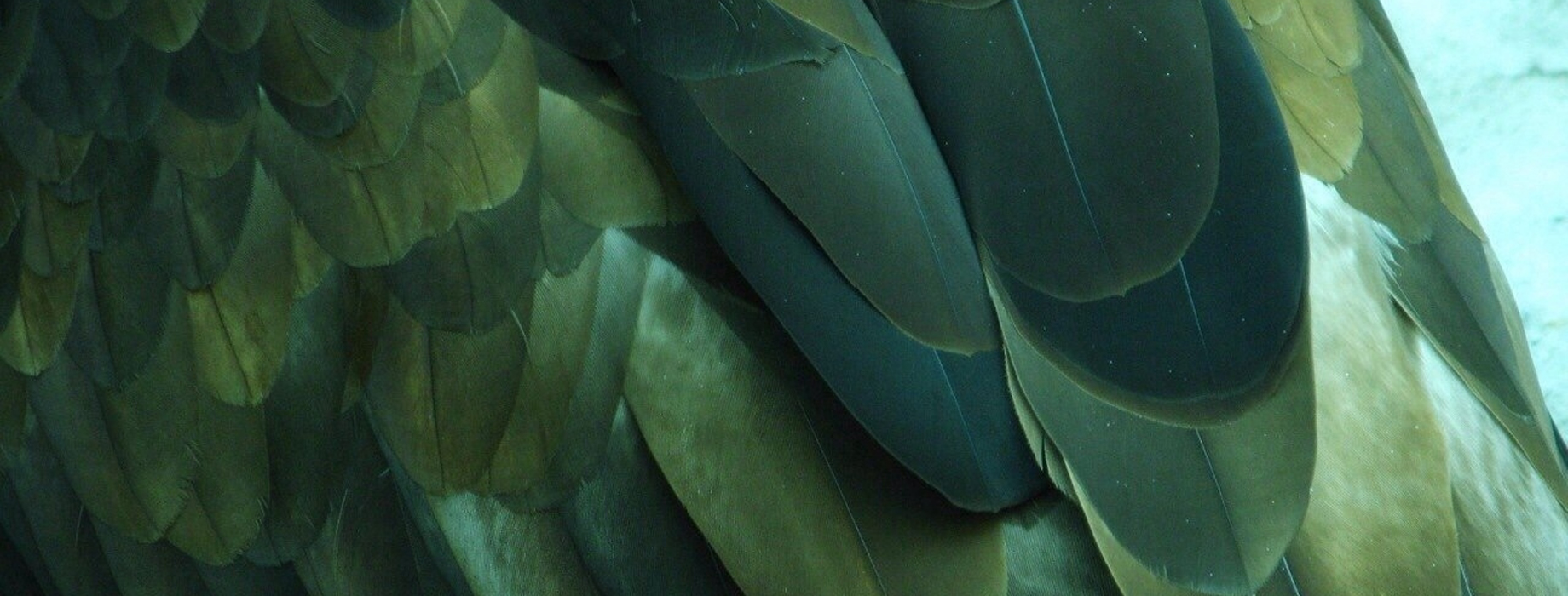 Multi Colored Green Paper Stacking in Curve Shape Close-up View