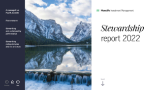 Stewardship report 2021