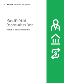 Investor brochure