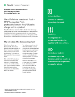 Professional service fee client flyer