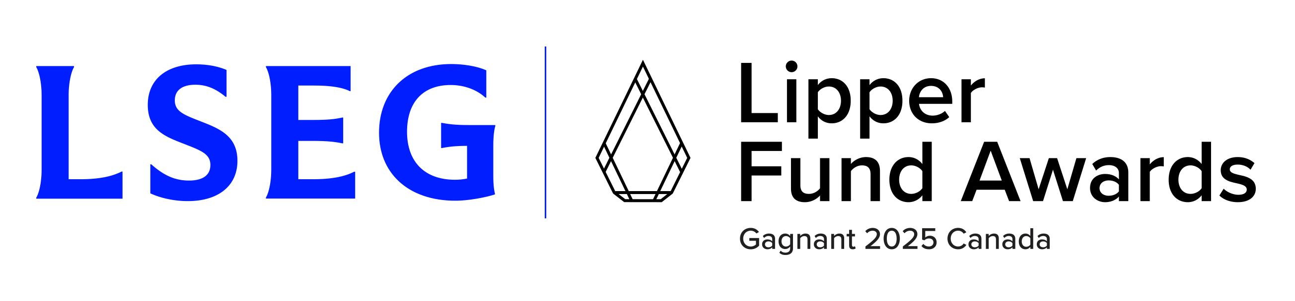 Graphic showing Mawer's investment process. Starting with idea generation, supported by research and screening.  Followed by a preliminary evaluation by looking at return trends, valuation and competitive advantages. Then they perform an intensive analysis through examination of historical data, review of analyst reports, interviews with management, building financial models and writing a report. Finally, portfolio construction puts everything together with risk controls including position size and industry exposure limits.