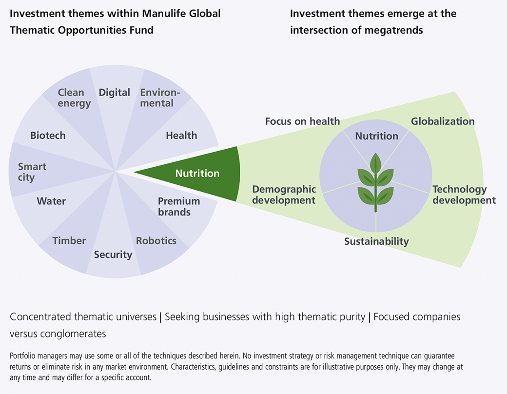 This modified pie chart with a breakdown of one segment illustrates how the current 12 themes of the global thematic opportunities fund are derived from the intersection of several megatrends. For example, the nutrition investment theme is a combination of the megatrends of focus on health, globalization, technology development, demographic development and sustainability.