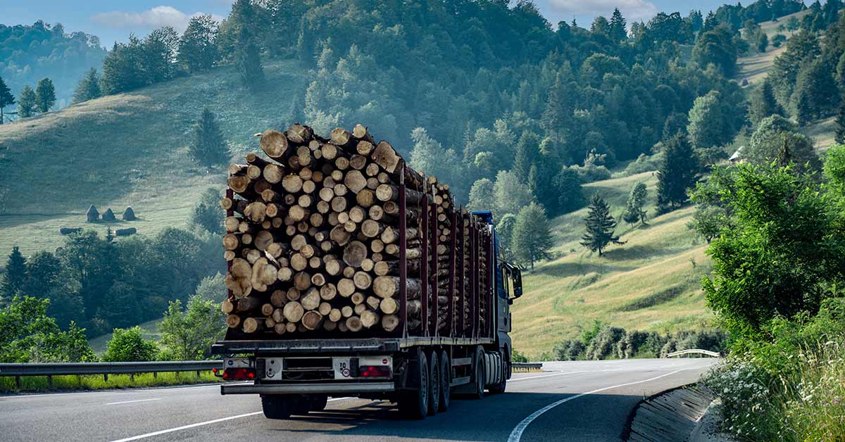 Un ciel bleu s'étend au-dessus d'une autoroute animée, soulignant le mouvement constant de voitures et de camions pour le voyage et le transport.