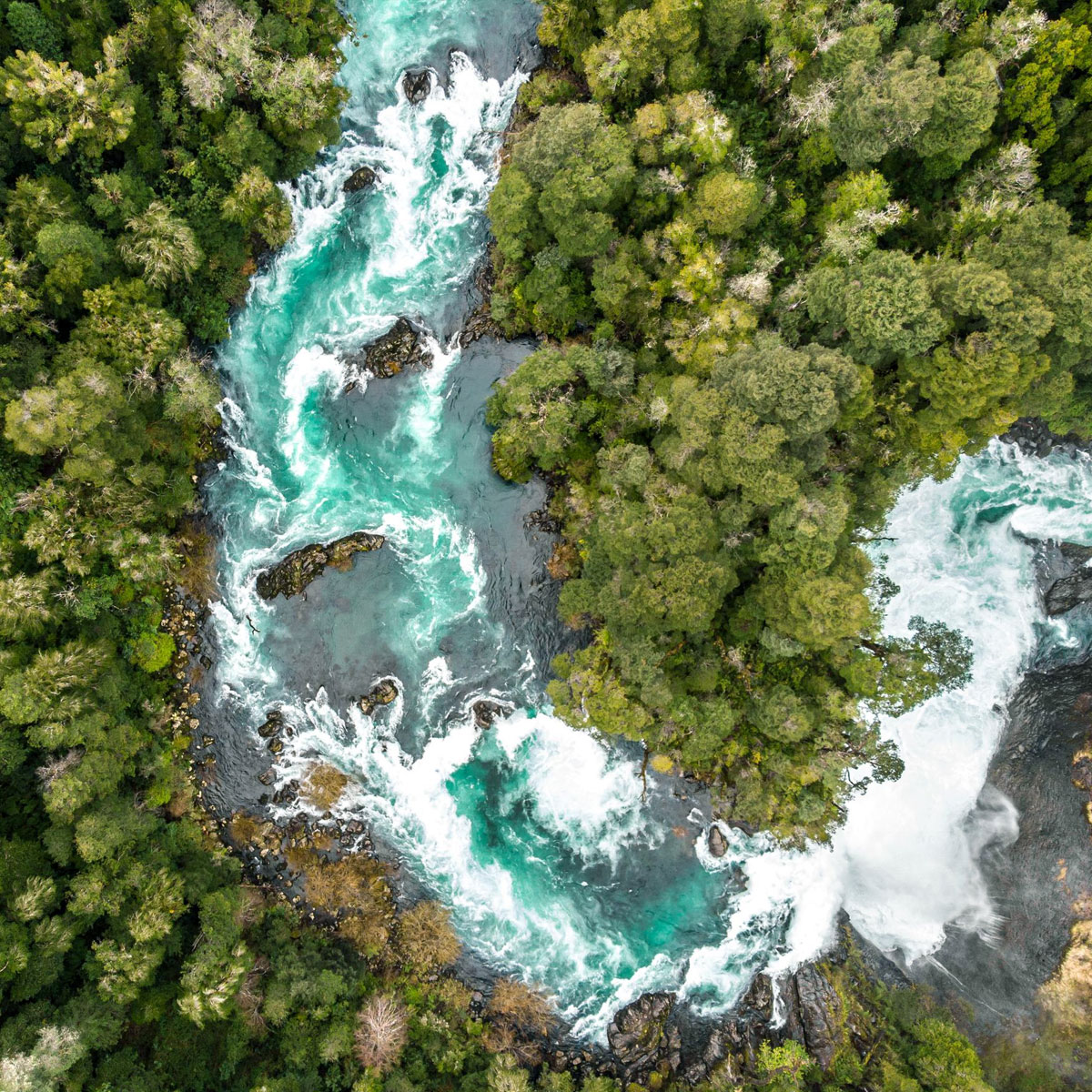 Experience the serene beauty of a lush green forest, cascading waterfall, and tranquil river, perfectly blending with the blue summer sea in this breathtaking landscape.