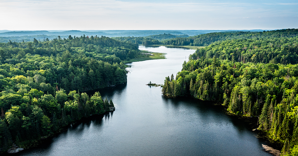Overlooking a serene lake, the landscape unfolds with lush green forests under a vast blue sky, epitomizing nature's beauty.