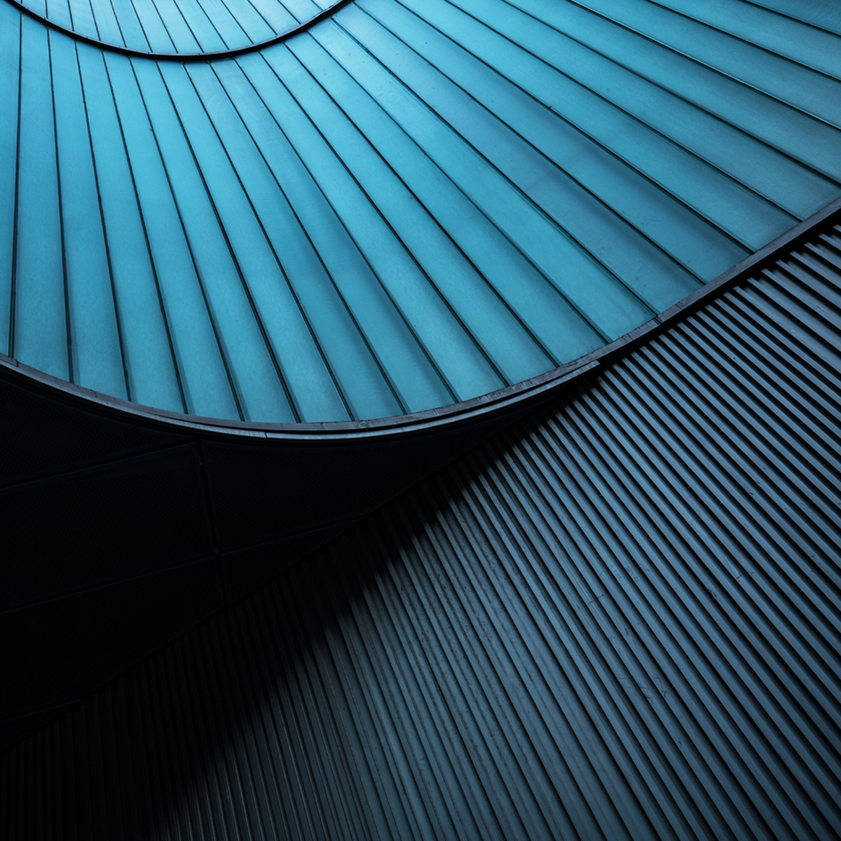 Close-up of a rooftop