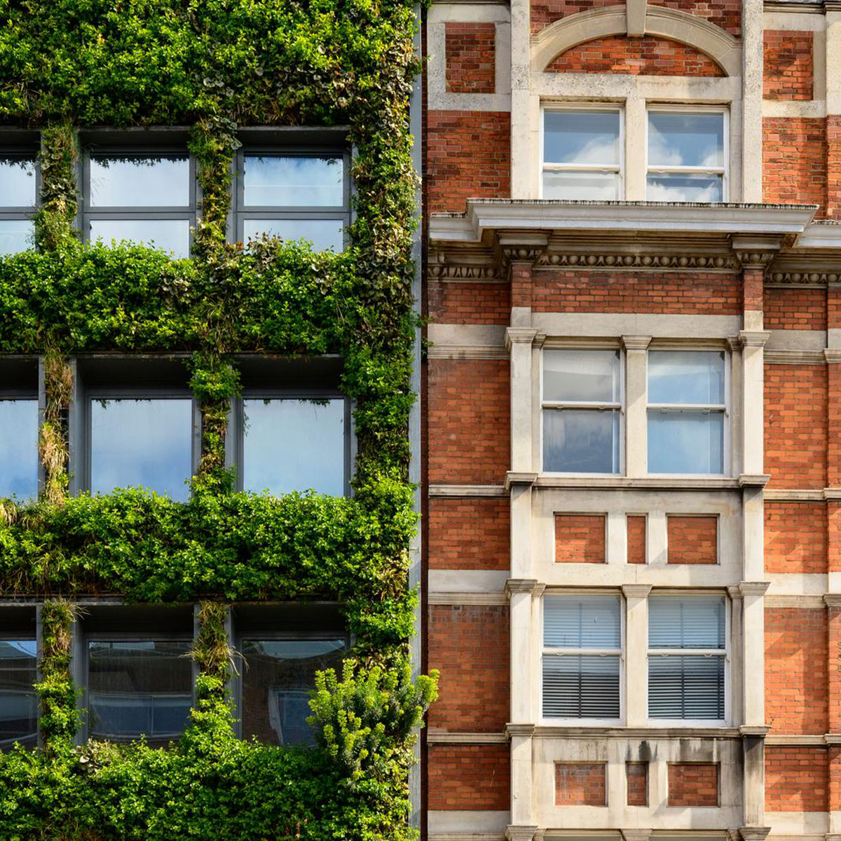 An antiquated structure, adorned with an appealing green facade and numerous windows, exudes a charming, homey vibe.