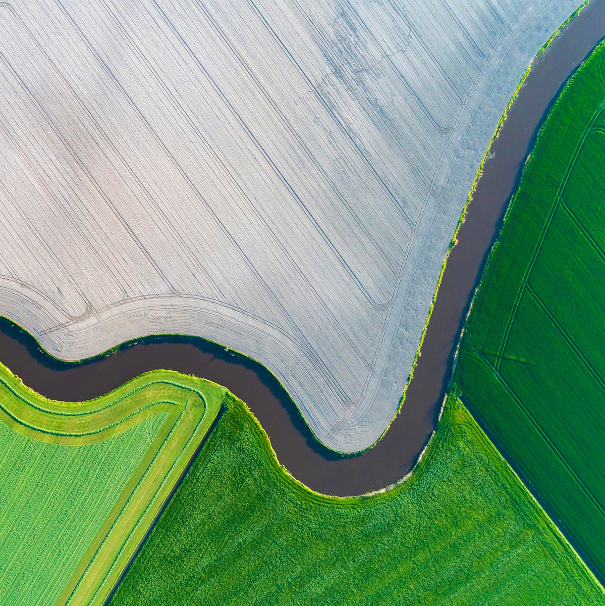 Experience the fusion of art and design with this abstract vector illustration, featuring green wave curves on a background.