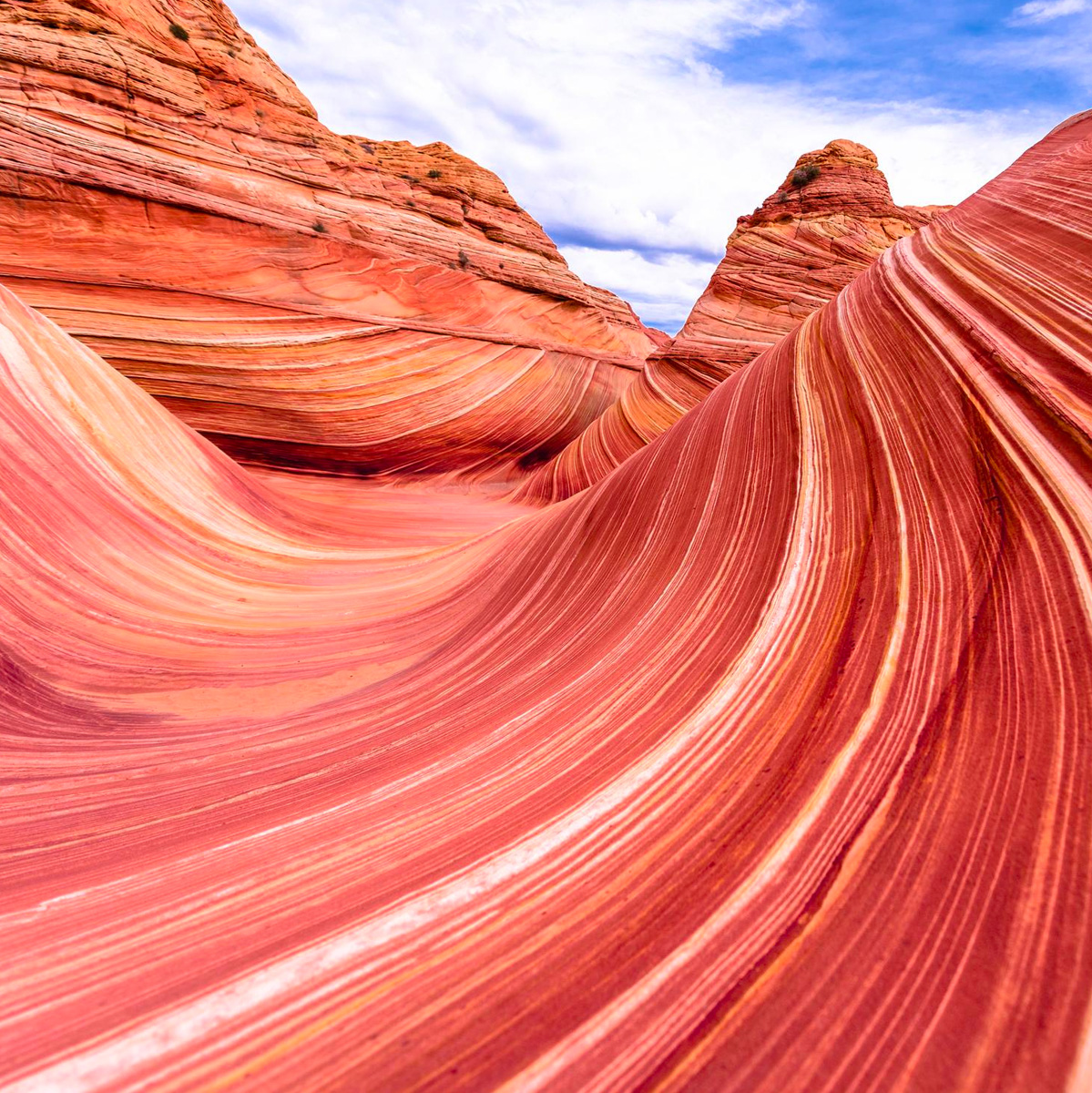 Experience the abstract beauty of Arizona's red rock canyons, where nature's sandstone waves create a unique desert background.