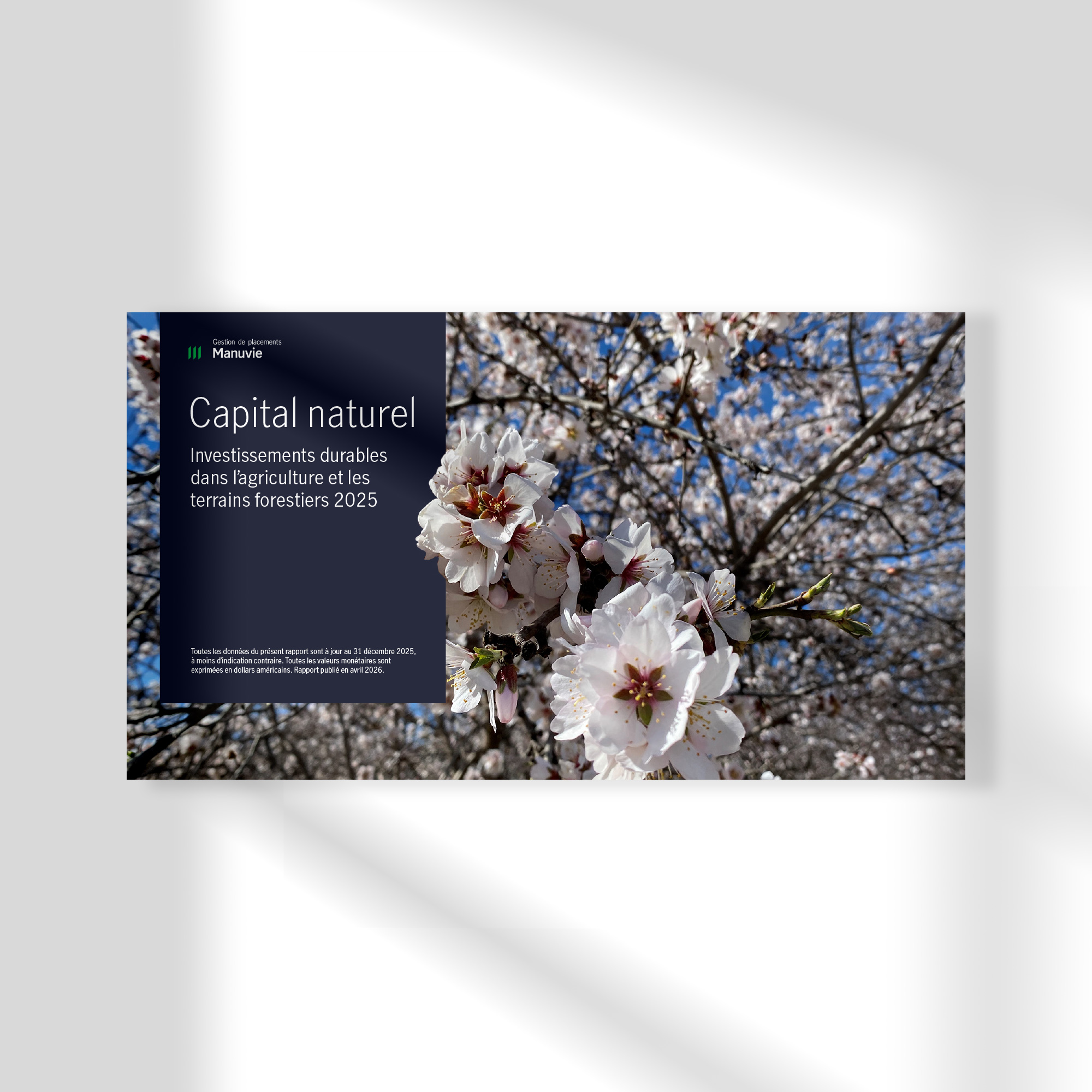 Maquette carrée de flyer et brochure au design floral, adaptée aux sites web, publications, cartes, avec photos éditoriales.