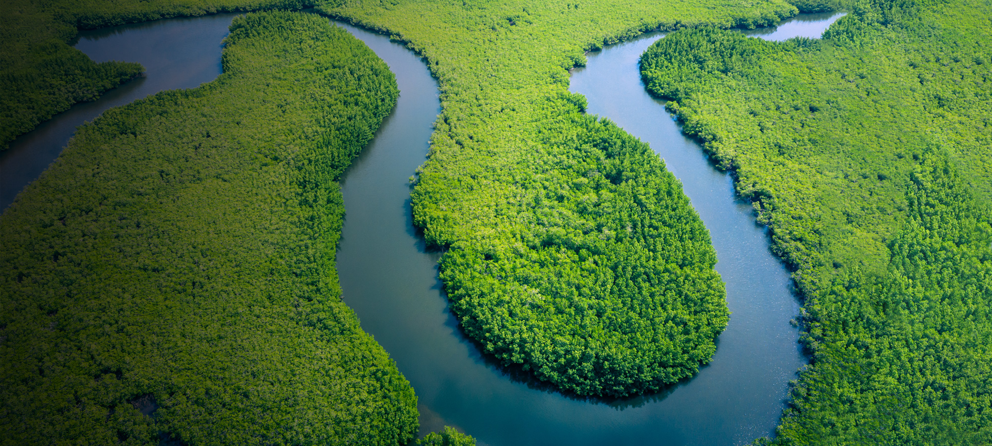 Aerial view of a shinig blue riving snaking through a wooded area in the shape of a horsehoe.