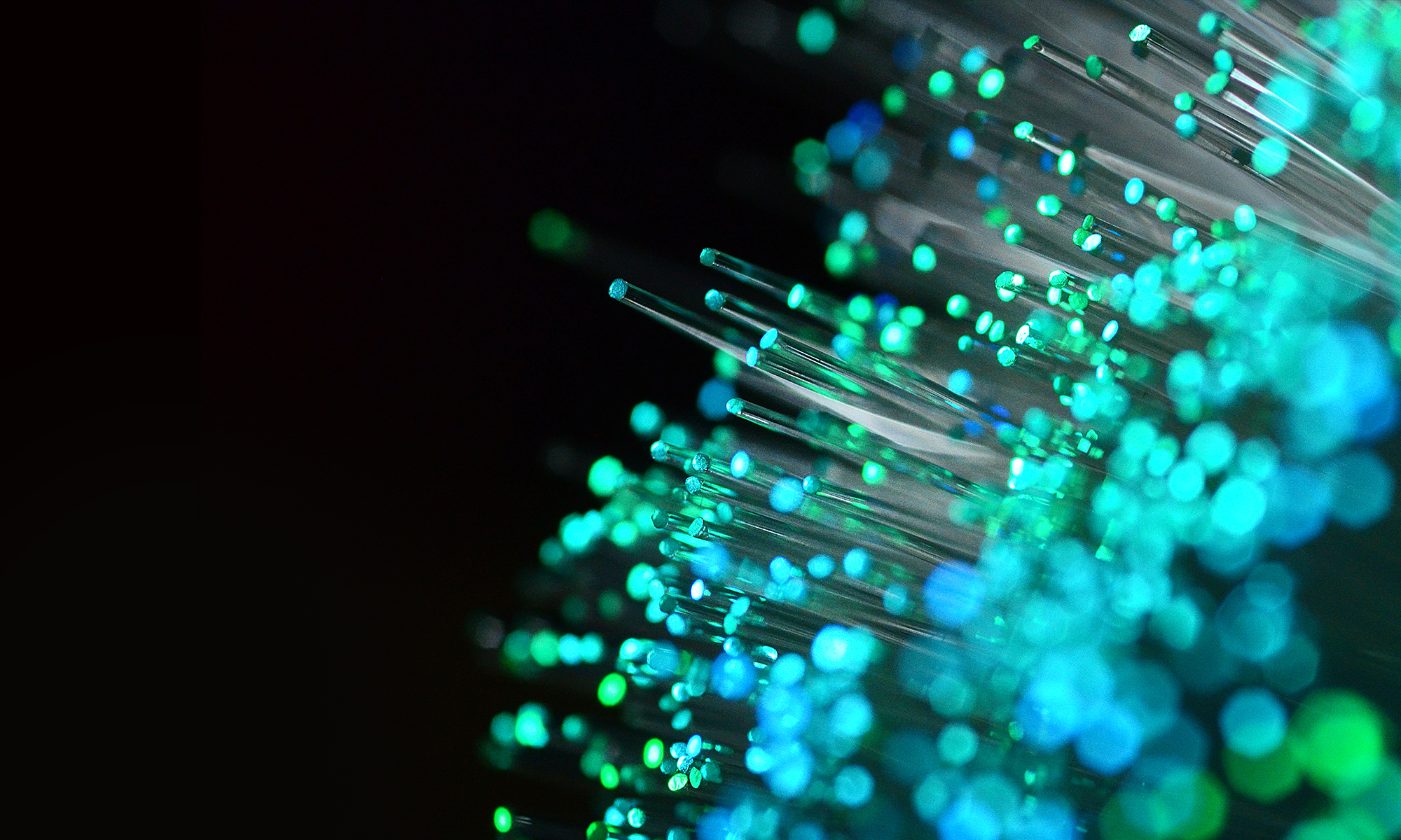 Abstract fractal network with chip-like circuits, nerve filaments, dot patterns, freckle-like marks, landscape-like forms.