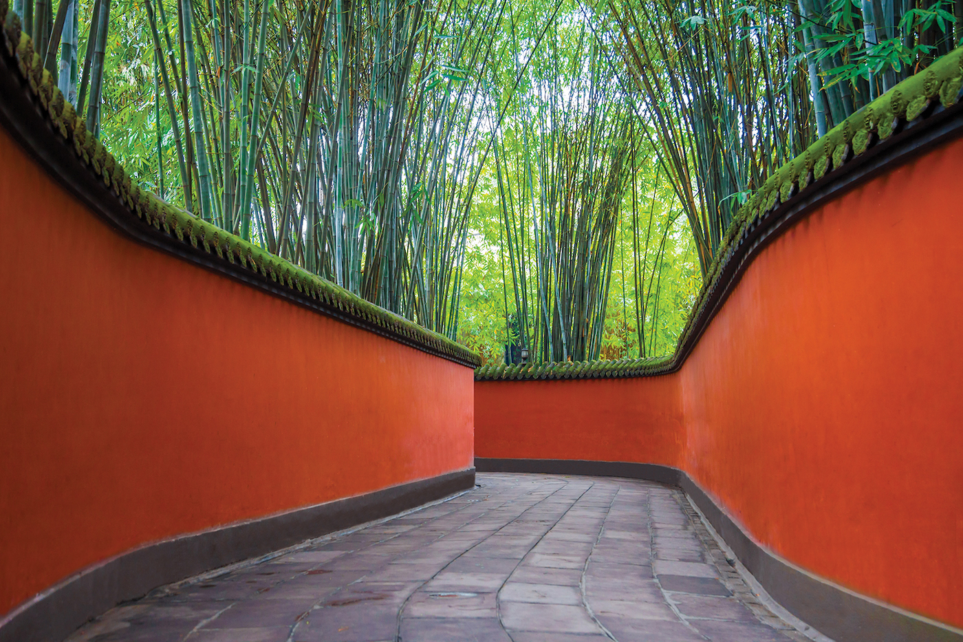 Enjoy a summer business meeting at a wooden table set amidst the lush, green forest for a refreshing nature background.