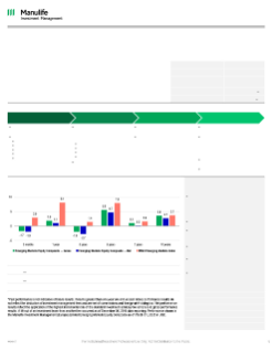 Emerging Market Equity Fact Sheet
