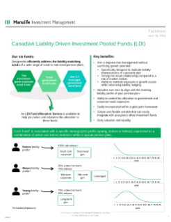 LDI Fact Sheet