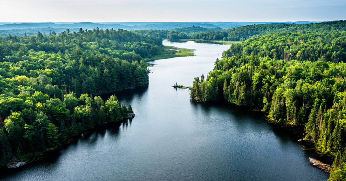 L’utilisation des crédits carbone transforme les investissements dans les terrains forestiers