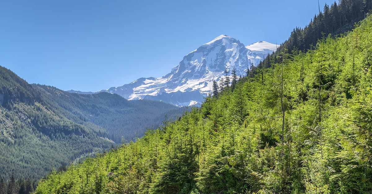 mountain scene