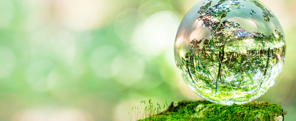 Zoomed in image of a water droplet resting on the ground in the forest