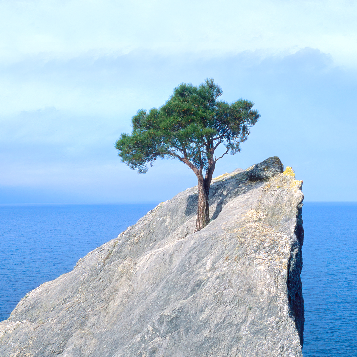 Experience the serene beauty of the summer landscape, where the blue sky meets the sea, framed by rocks and trees.