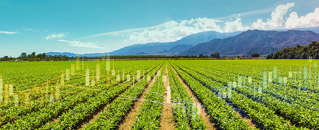 Investir dans l’agriculture durable