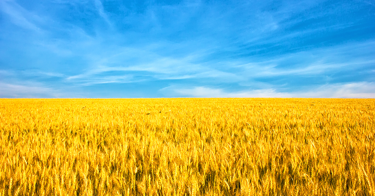 Russia and Ukraine in crisis: implications for agricultural markets