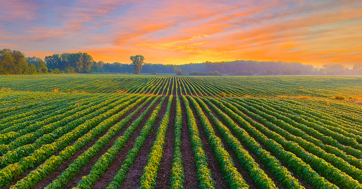 U.S. farmers eye another record year but face a variety of challenges