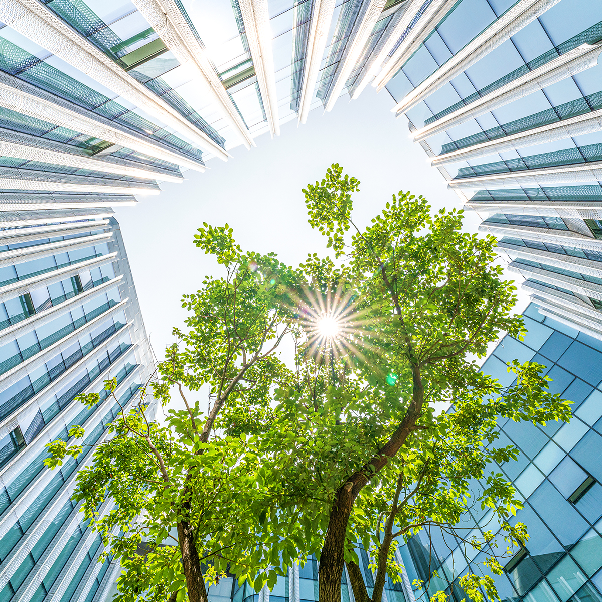 Modern architecture meets tropical beauty in this city, where palm trees sway against a backdrop of blue sky and greenery.