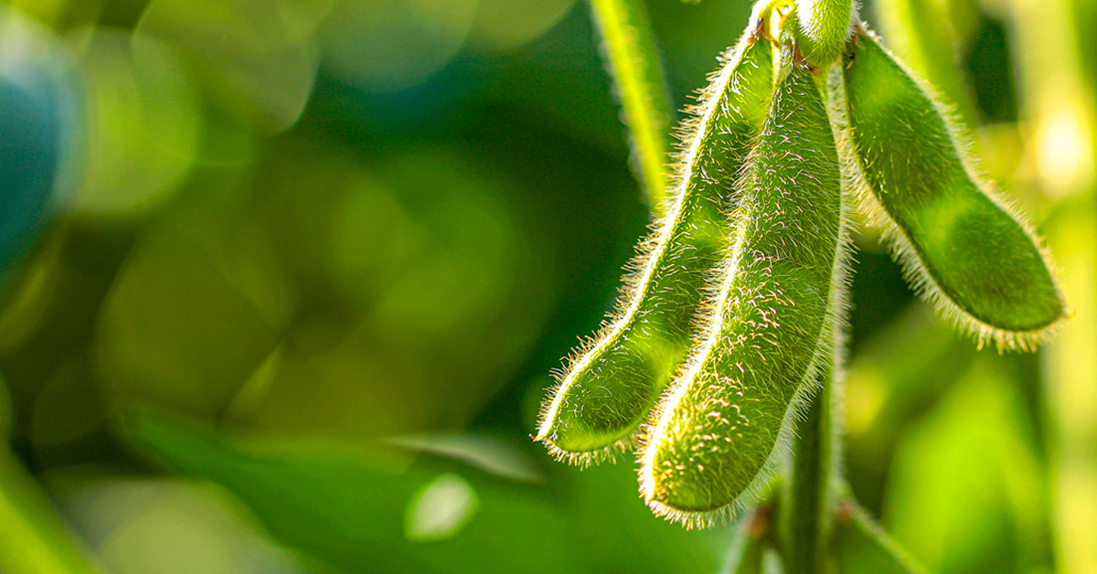 Inflation, interest rates, and recession risk: farmland’s resilience in the face of uncertainty