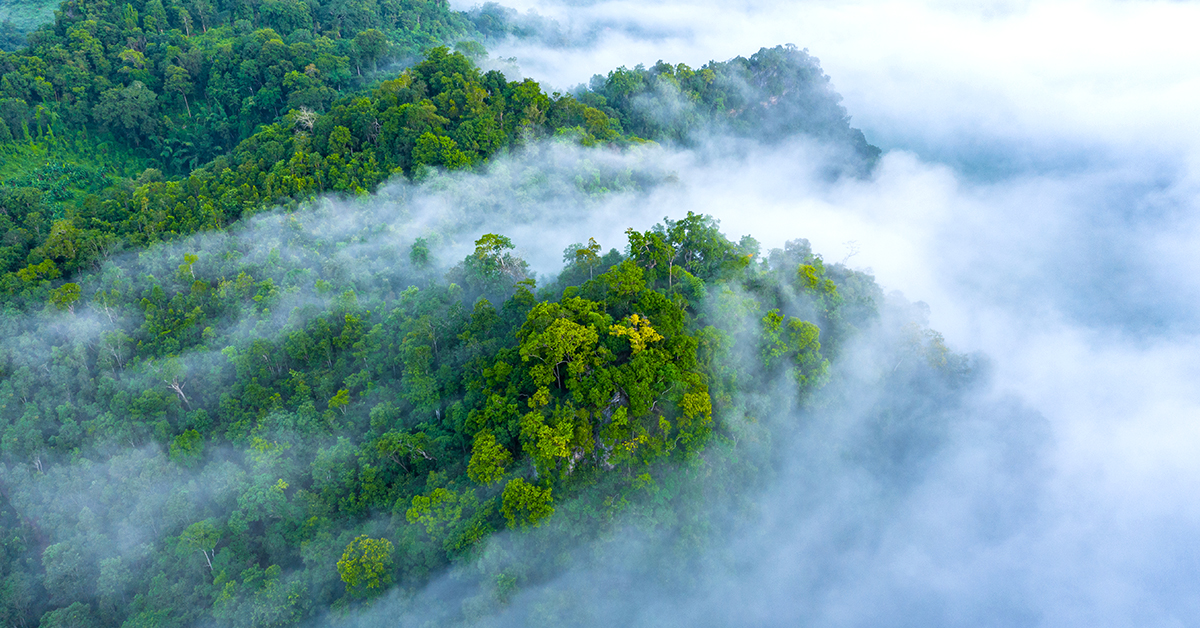 The arc of progress in global carbon markets bends toward integrity