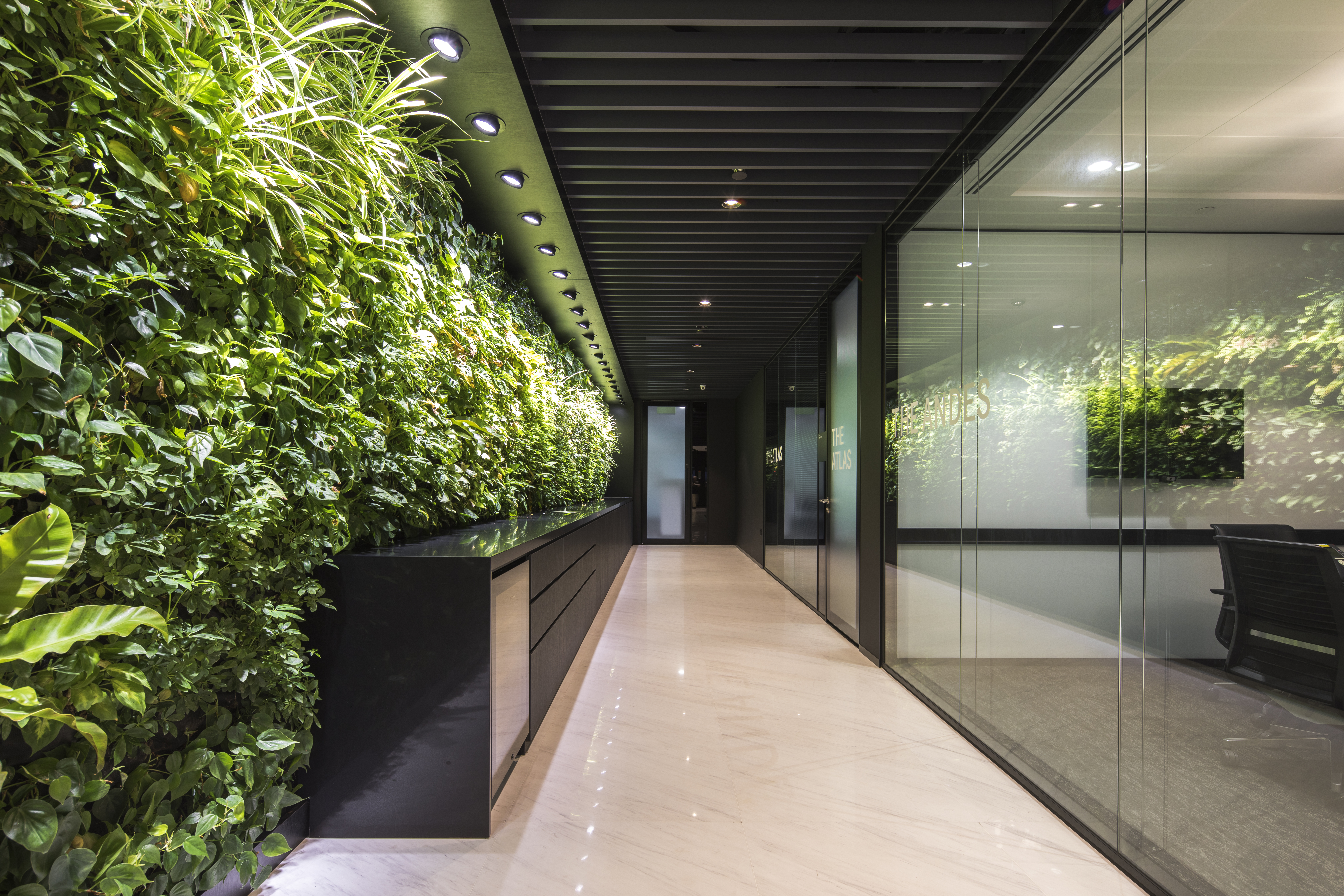 interior hallway with living plant wall