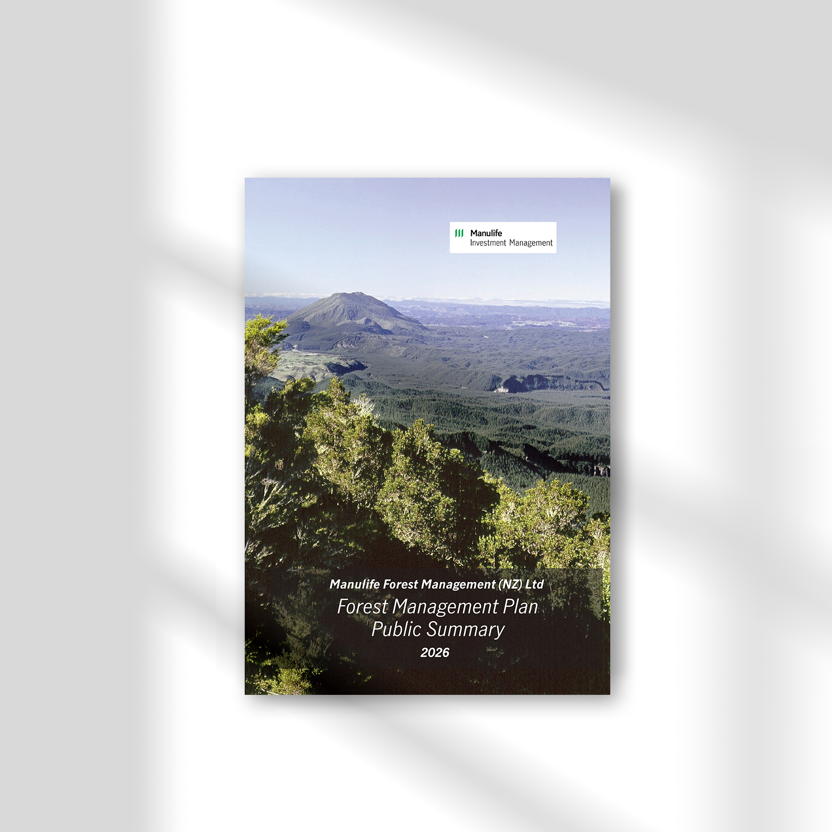 Square flyer template for brochure, booklet, or leaflet on ecoregions, featuring editorial photography of a craggy peak.