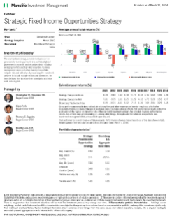 Strategic Fixed Income Opportunities Fact Sheet