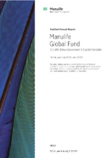 MGF Annual Report