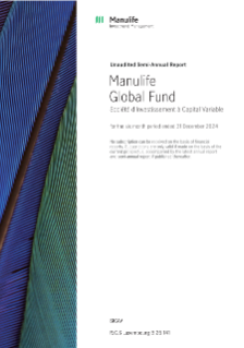MGF Semiannual report