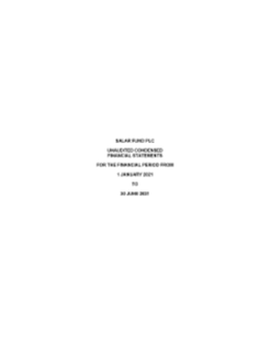 Salar Fund plc interim financial statements