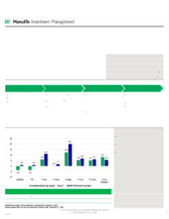 Canadian Small Cap Equity Strategy