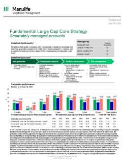 Fundamental Large Cap Core