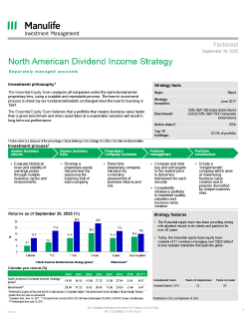 North American Dividend Income Strategy