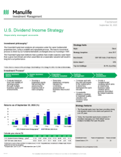 U.S. Dividend Income Strategy 