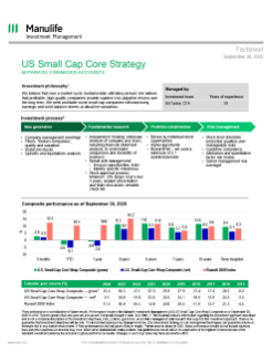 U.S. Small Cap Core Strategy