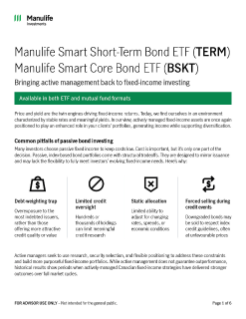TERM and BSKT—advisor brochure