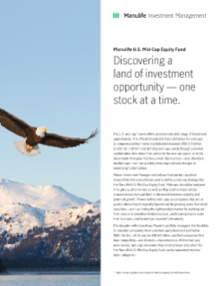 MP2219830E - Manulife U.S. Mid-Cap Equity Fund – Mid Cap Stock Stories