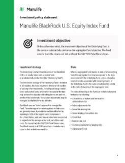 Investment Policy Statement -Manulife BlackRock U.S. Equity Index Fund