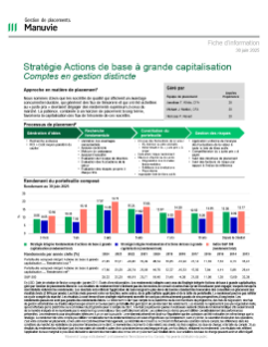 Stratégie Actions de base à grande capitalisation